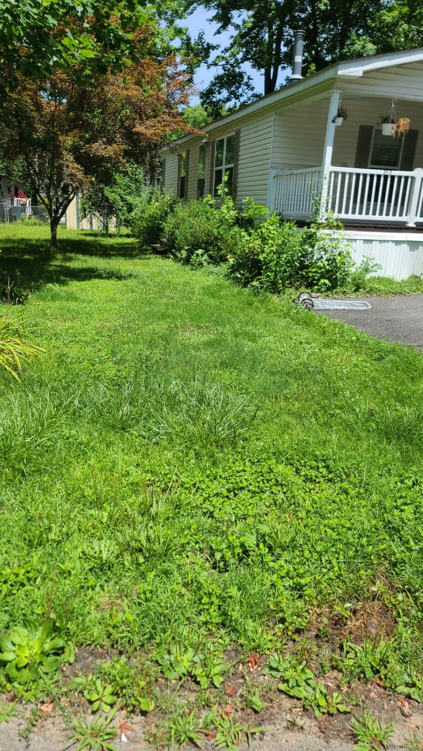 Green maintained property