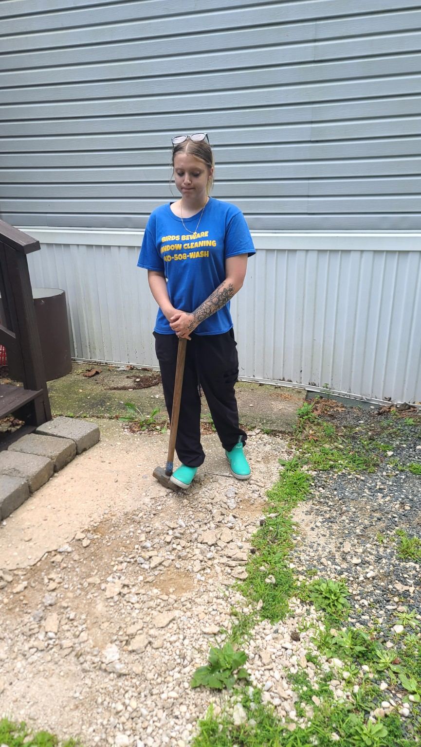 Birds Beware landscaping and property work